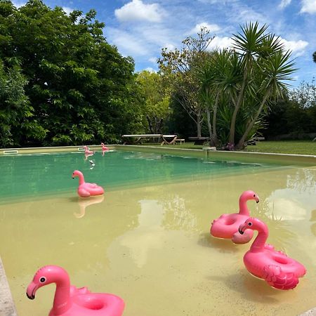 Le Patio, Chambres D Hotes Pour Adultes En Camargue, Possibilite De Naturisme A La Piscine, Aimargues Exterior photo