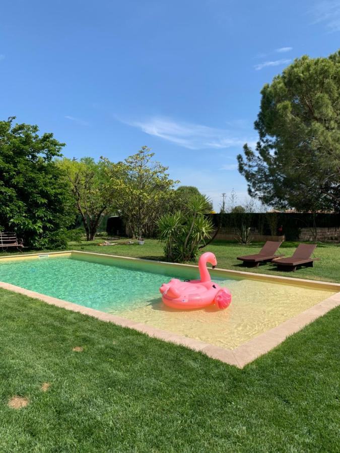 Le Patio, Chambres D Hotes Pour Adultes En Camargue, Possibilite De Naturisme A La Piscine, Aimargues Exterior photo