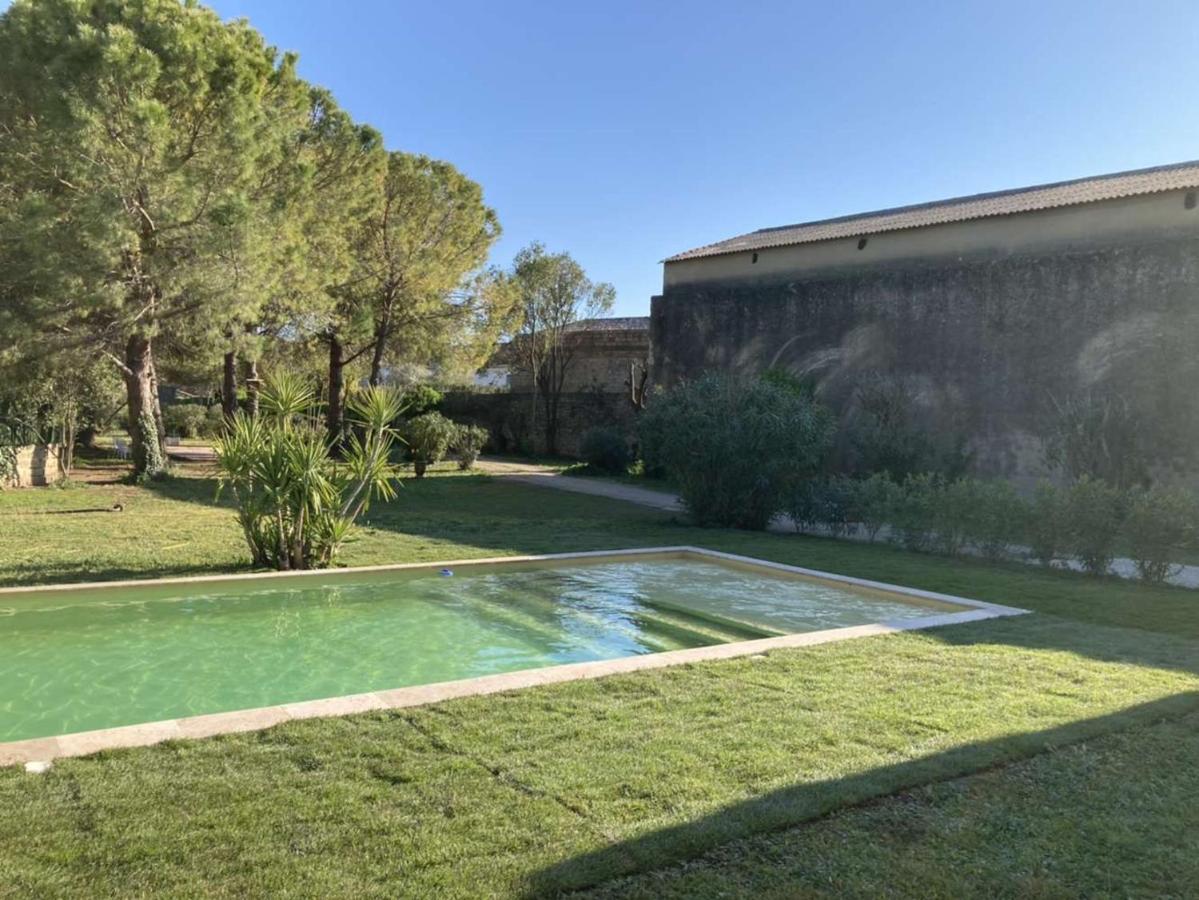 Le Patio, Chambres D Hotes Pour Adultes En Camargue, Possibilite De Naturisme A La Piscine, Aimargues Exterior photo
